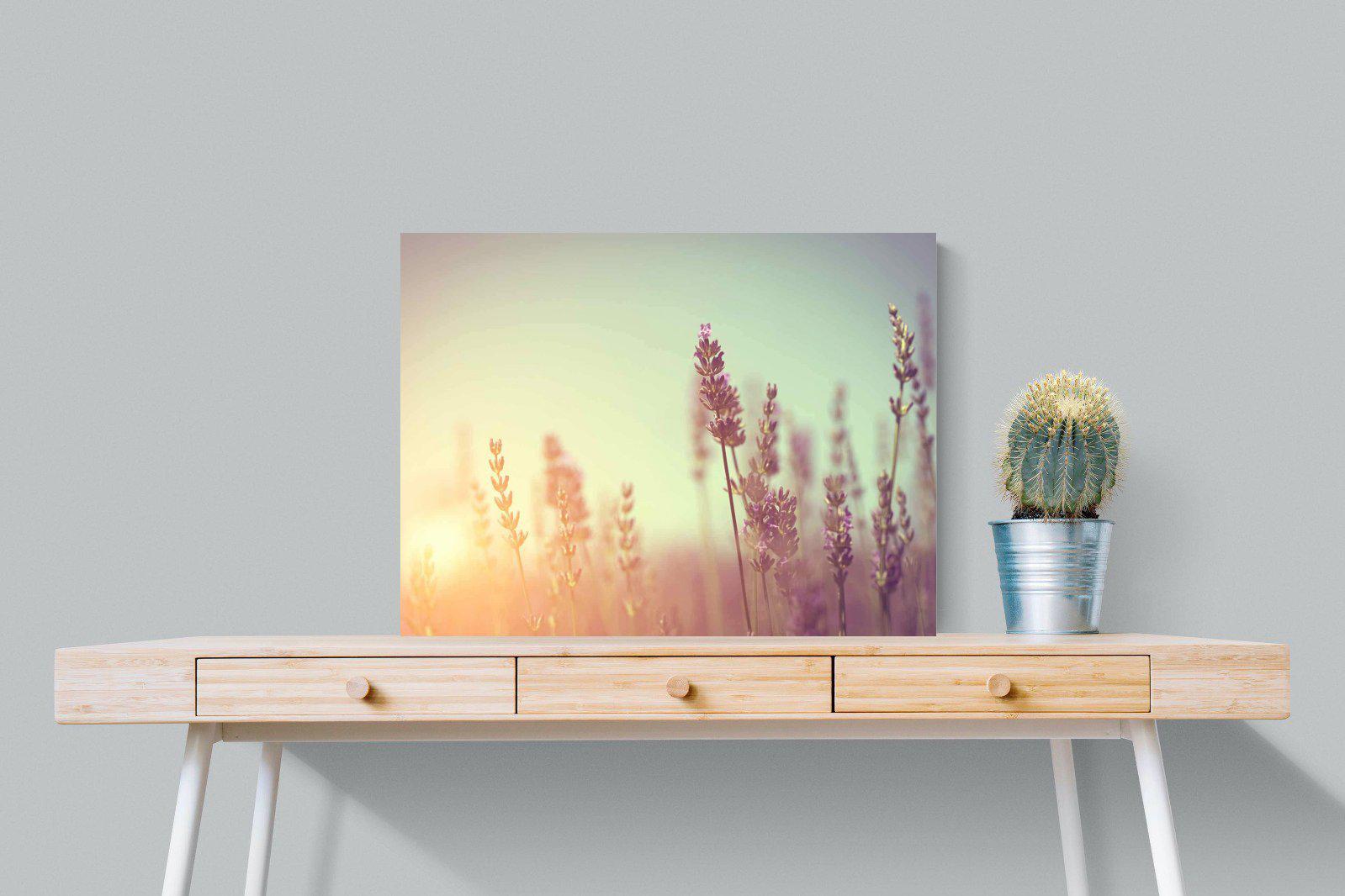 Lavender-Wall_Art-80 x 60cm-Mounted Canvas-No Frame-Pixalot