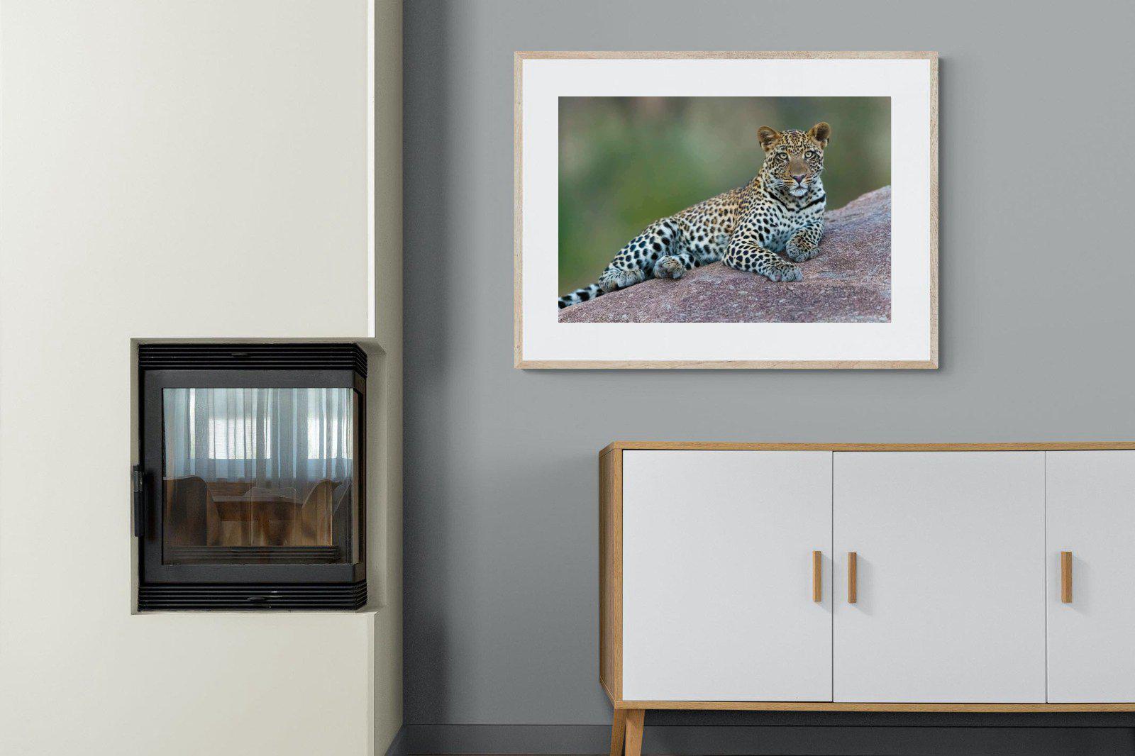 Laying Leopard-Wall_Art-100 x 75cm-Framed Print-Wood-Pixalot