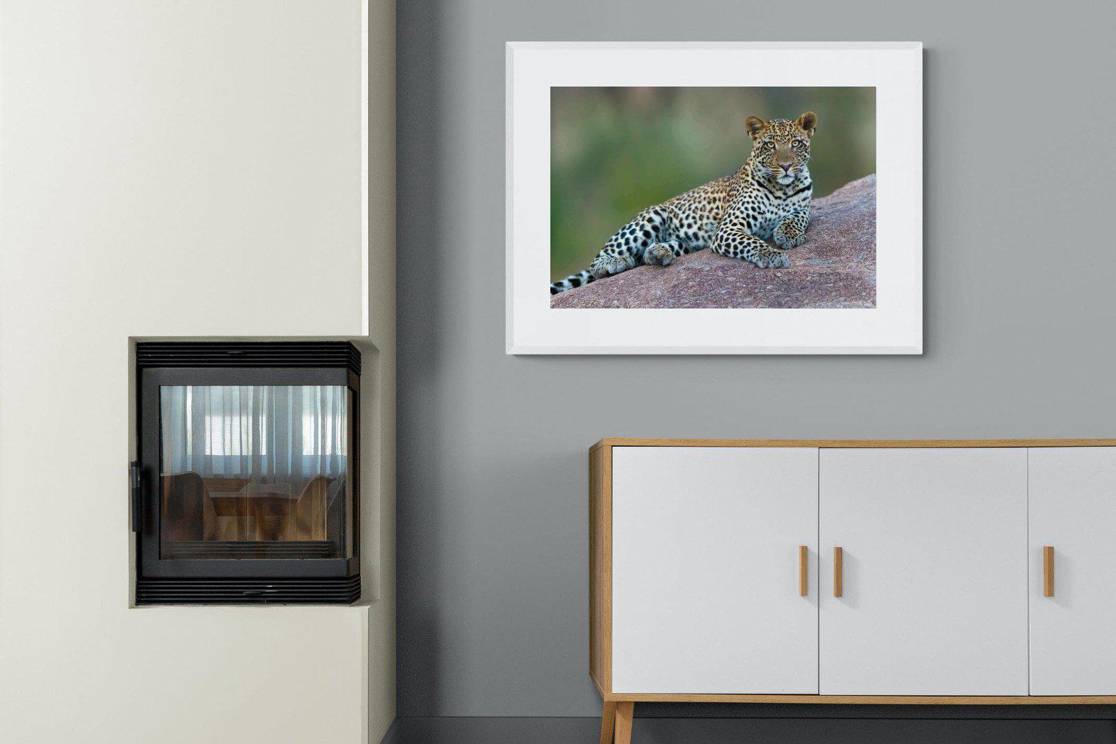 Laying Leopard-Wall_Art-100 x 75cm-Framed Print-White-Pixalot