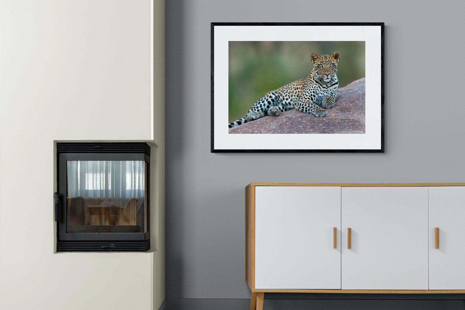 Laying Leopard-Wall_Art-100 x 75cm-Framed Print-Black-Pixalot