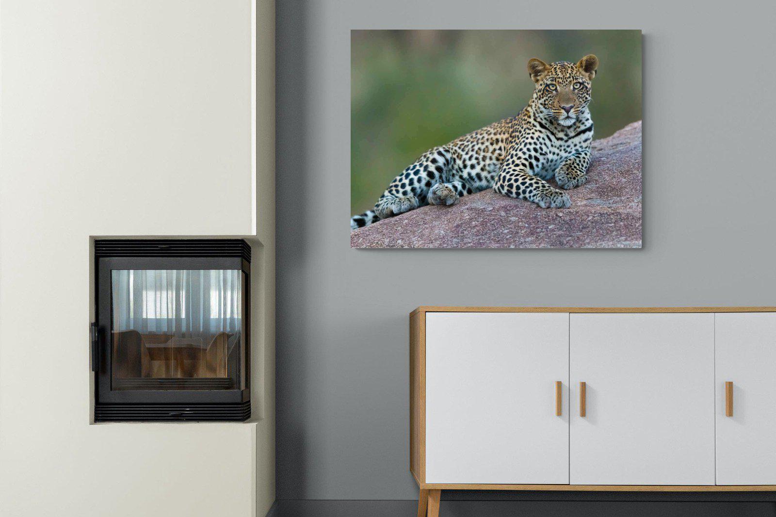 Laying Leopard-Wall_Art-100 x 75cm-Mounted Canvas-No Frame-Pixalot