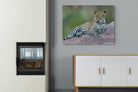 Laying Leopard-Wall_Art-100 x 75cm-Mounted Canvas-No Frame-Pixalot