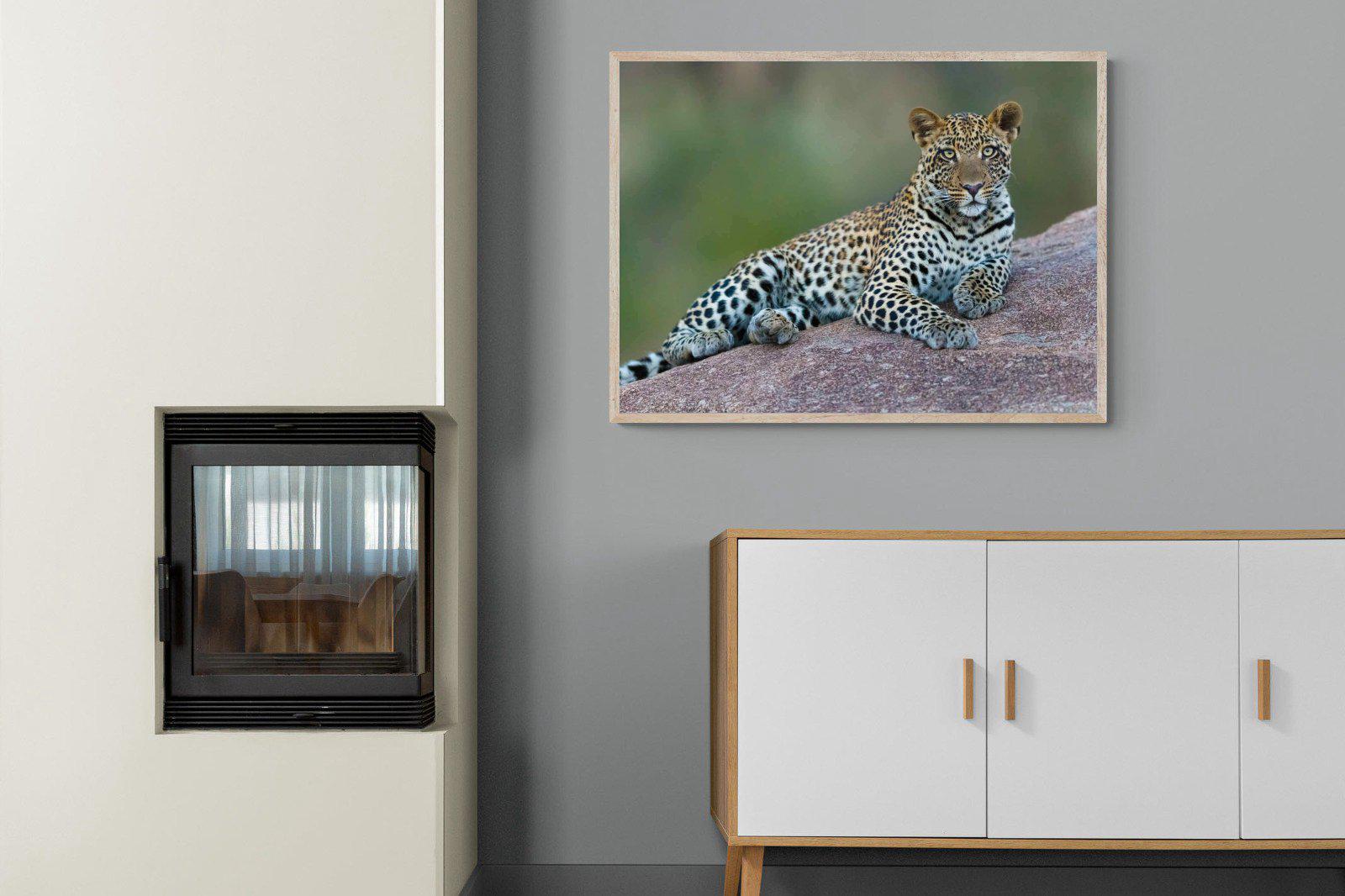 Laying Leopard-Wall_Art-100 x 75cm-Mounted Canvas-Wood-Pixalot