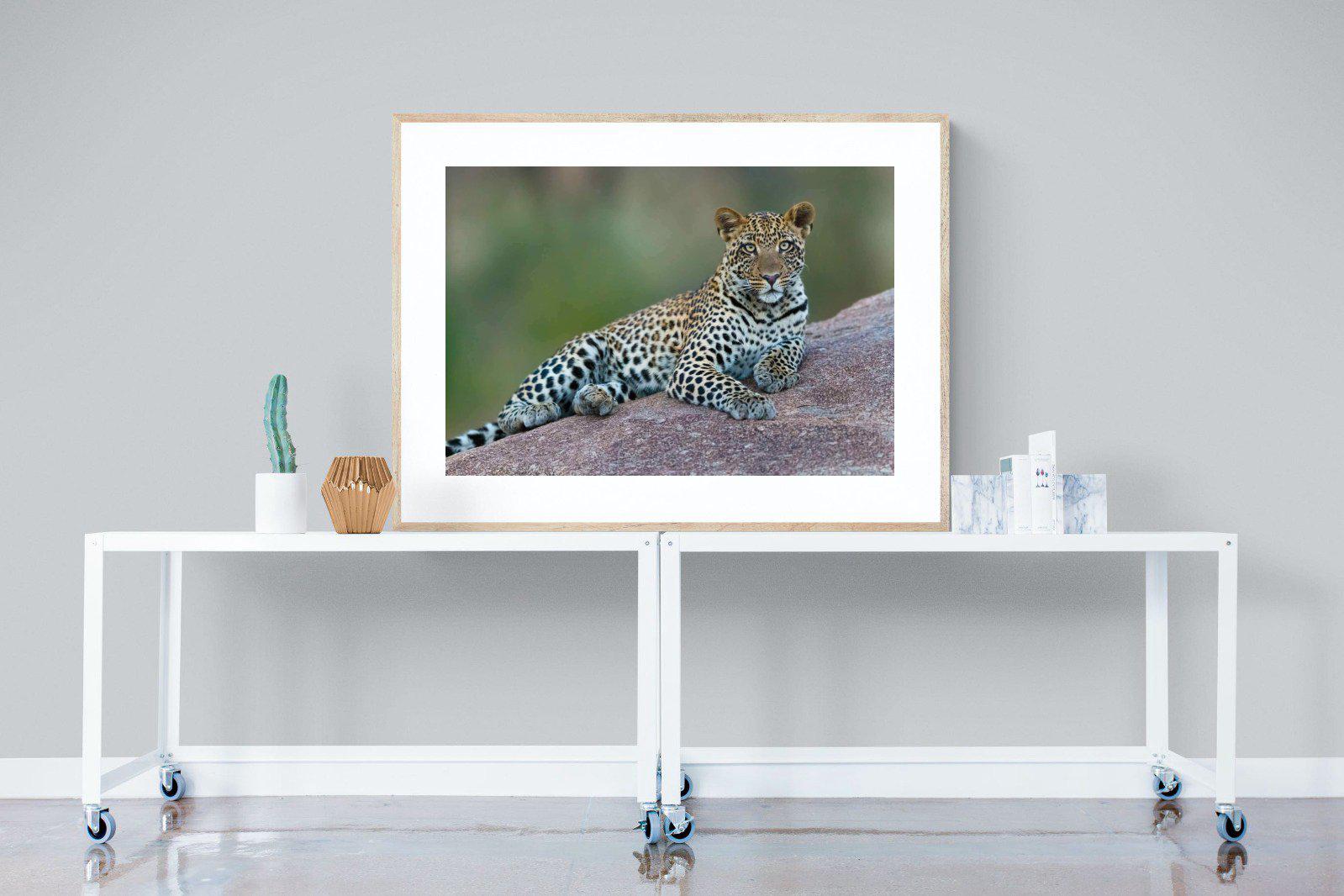 Laying Leopard-Wall_Art-120 x 90cm-Framed Print-Wood-Pixalot