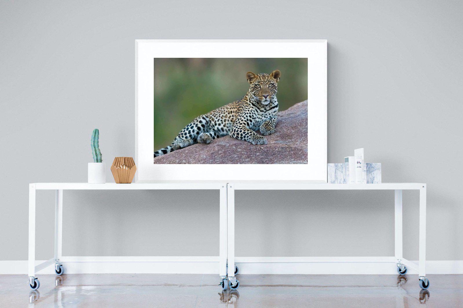Laying Leopard-Wall_Art-120 x 90cm-Framed Print-White-Pixalot