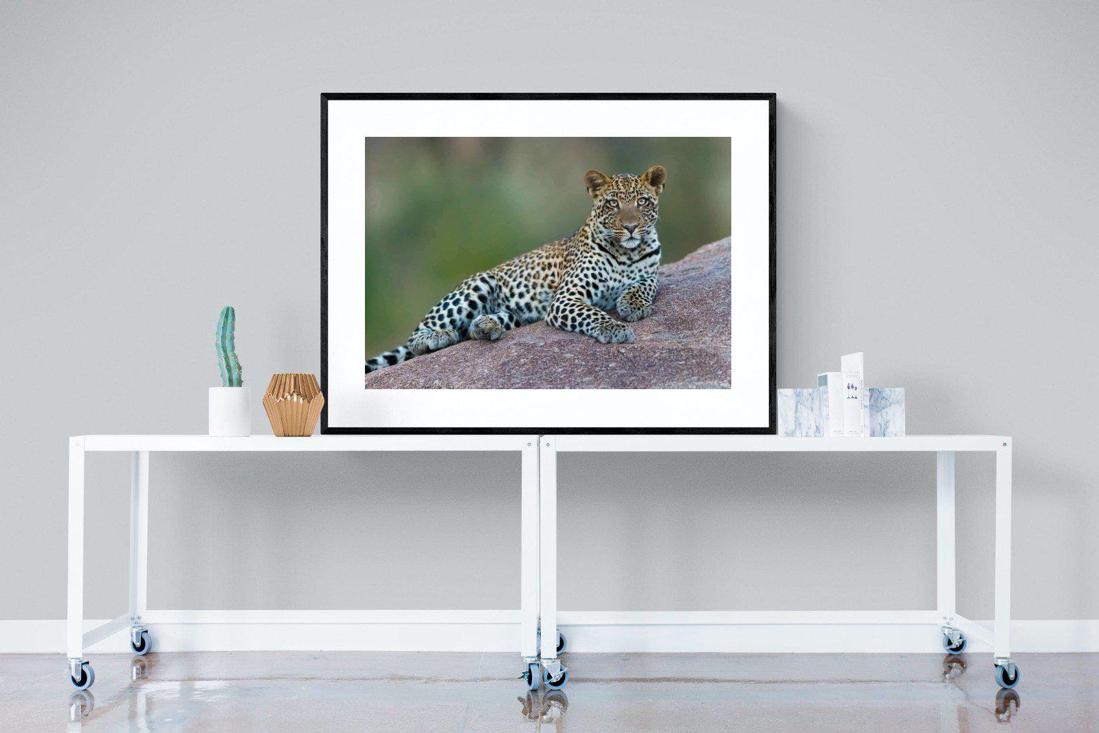 Laying Leopard-Wall_Art-120 x 90cm-Framed Print-Black-Pixalot