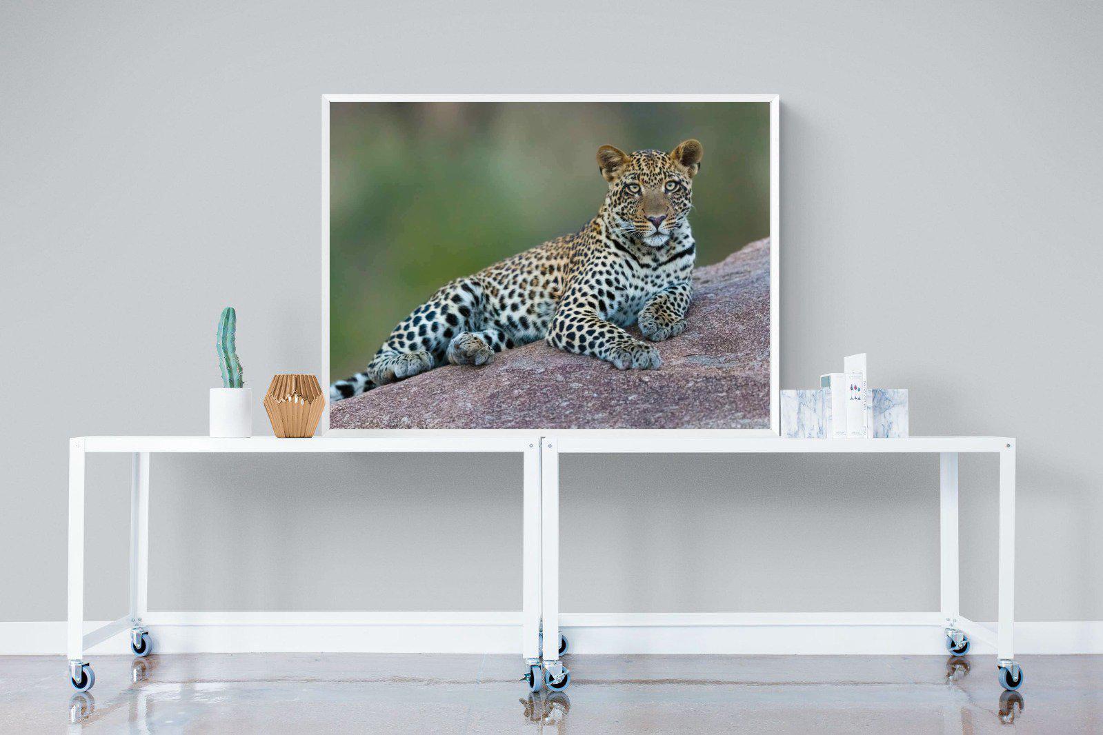 Laying Leopard-Wall_Art-120 x 90cm-Mounted Canvas-White-Pixalot