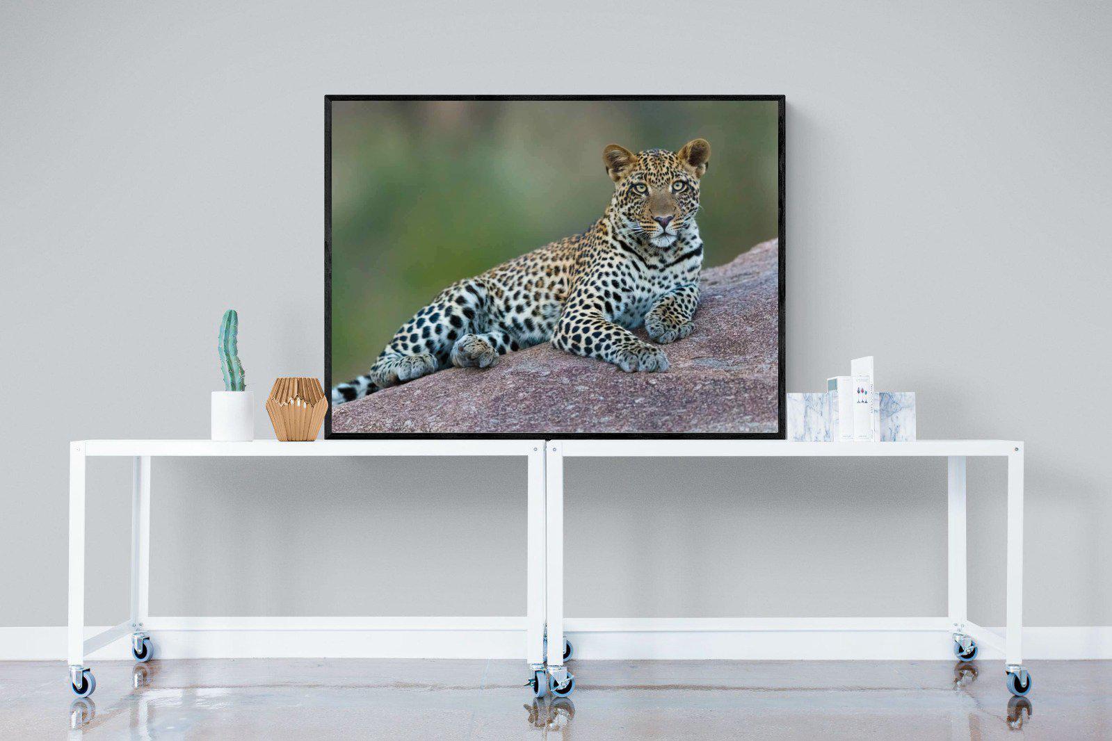 Laying Leopard-Wall_Art-120 x 90cm-Mounted Canvas-Black-Pixalot
