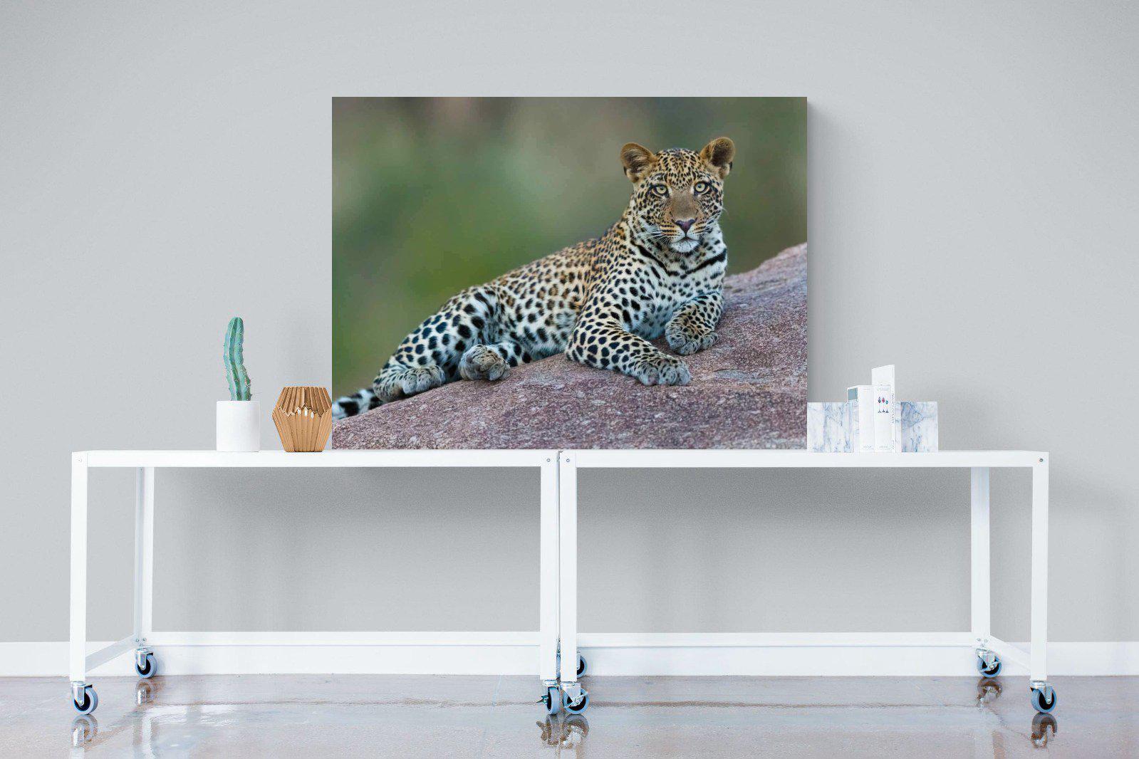 Laying Leopard-Wall_Art-120 x 90cm-Mounted Canvas-No Frame-Pixalot