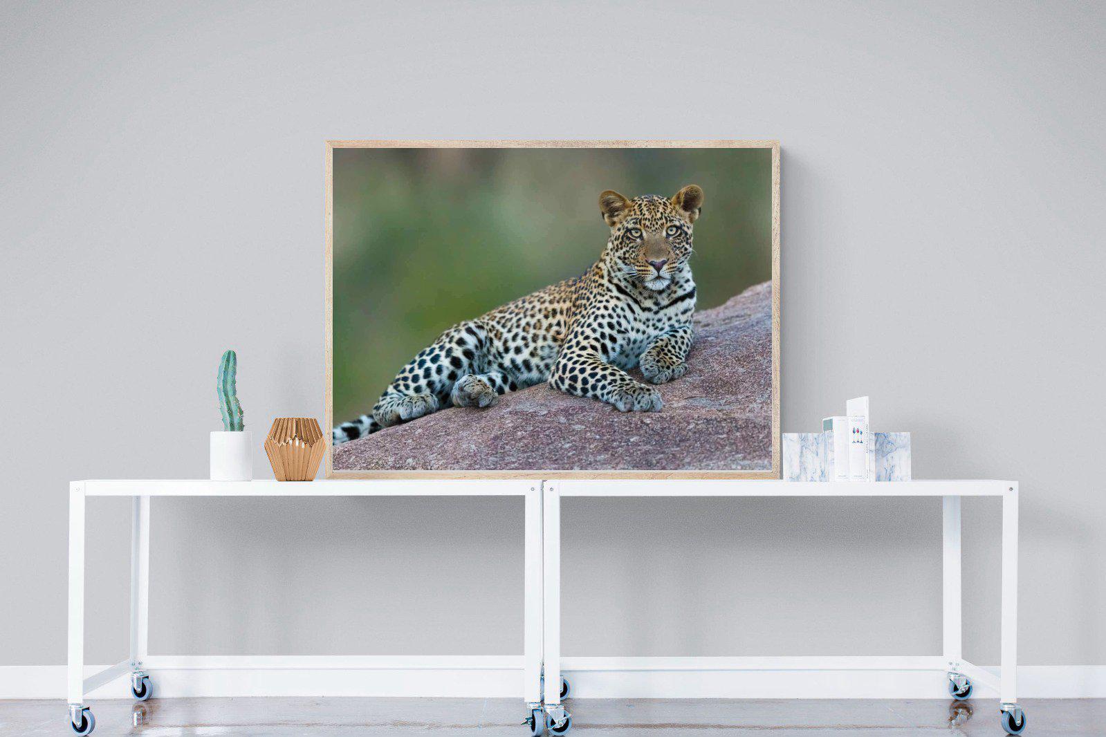 Laying Leopard-Wall_Art-120 x 90cm-Mounted Canvas-Wood-Pixalot