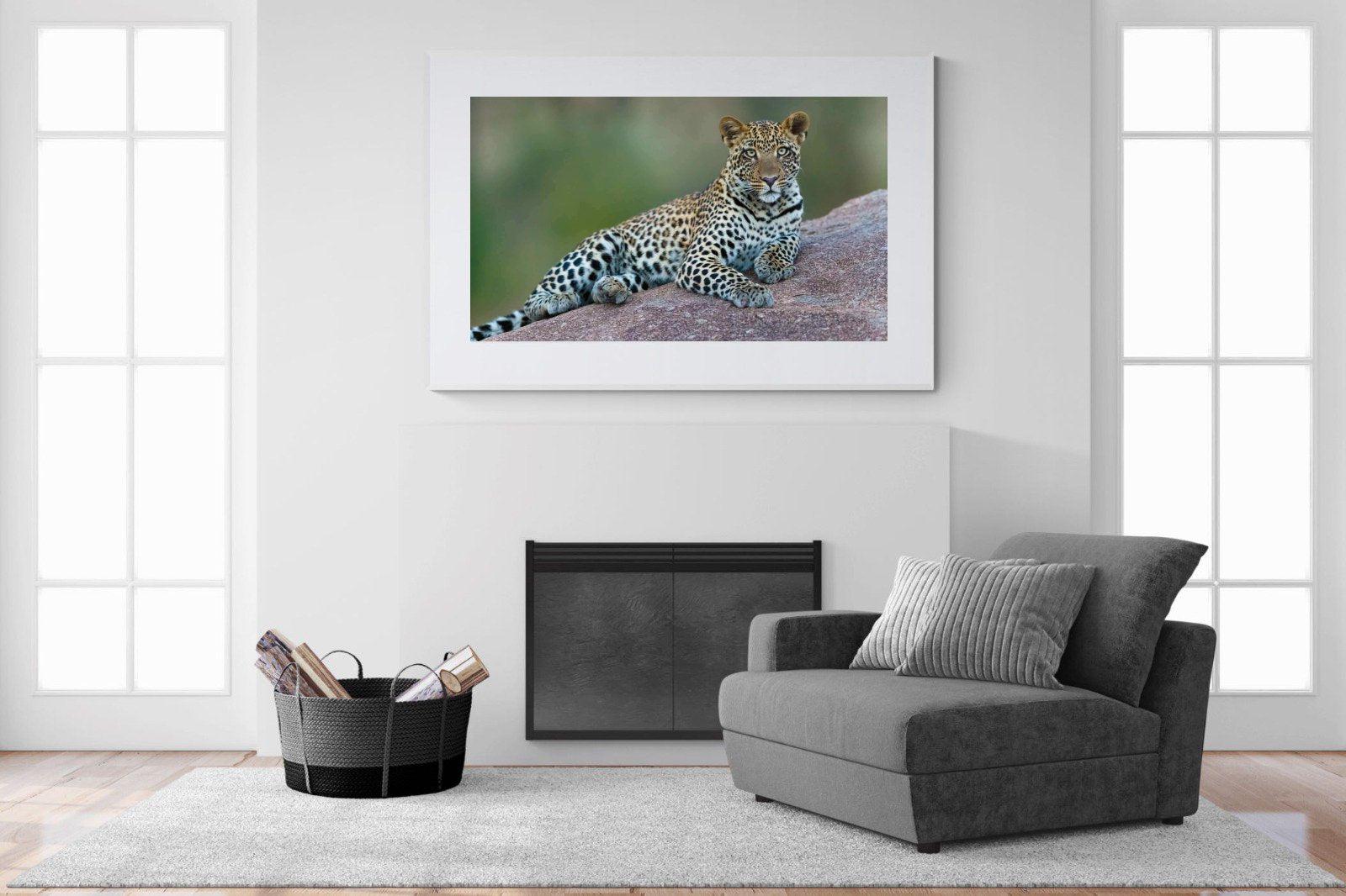 Laying Leopard-Wall_Art-150 x 100cm-Framed Print-White-Pixalot