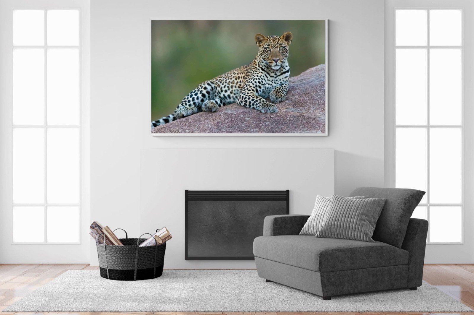 Laying Leopard-Wall_Art-150 x 100cm-Mounted Canvas-White-Pixalot