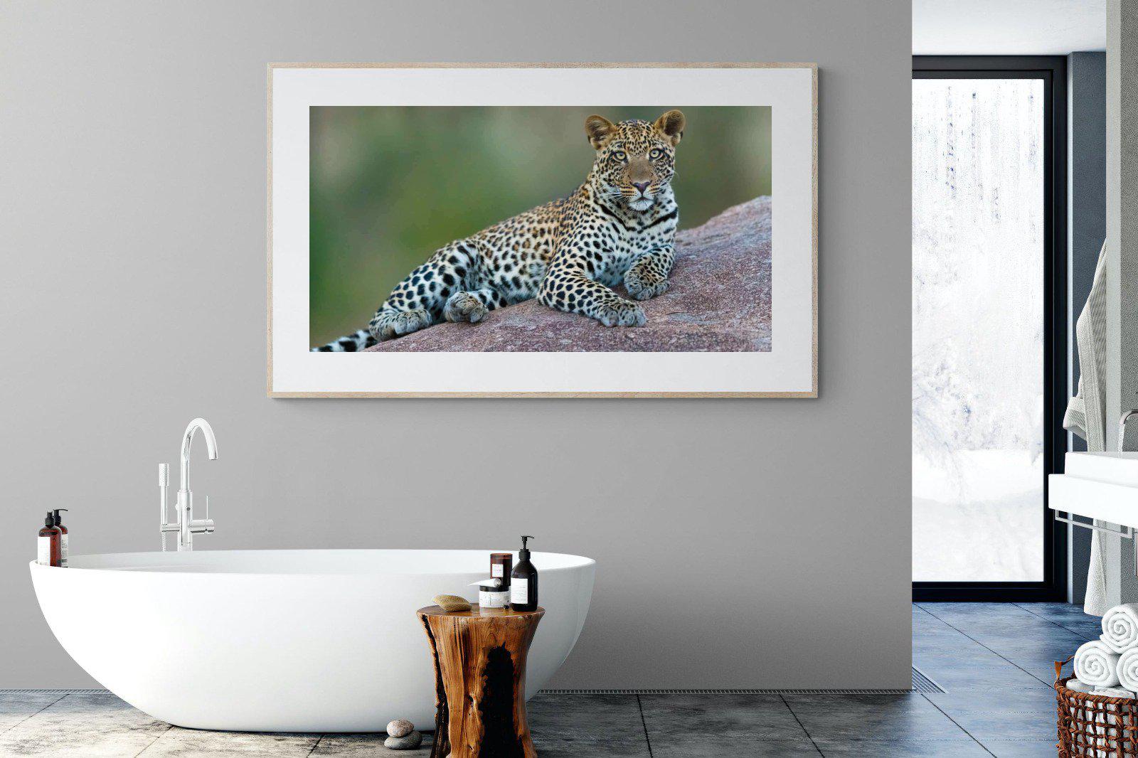Laying Leopard-Wall_Art-180 x 110cm-Framed Print-Wood-Pixalot