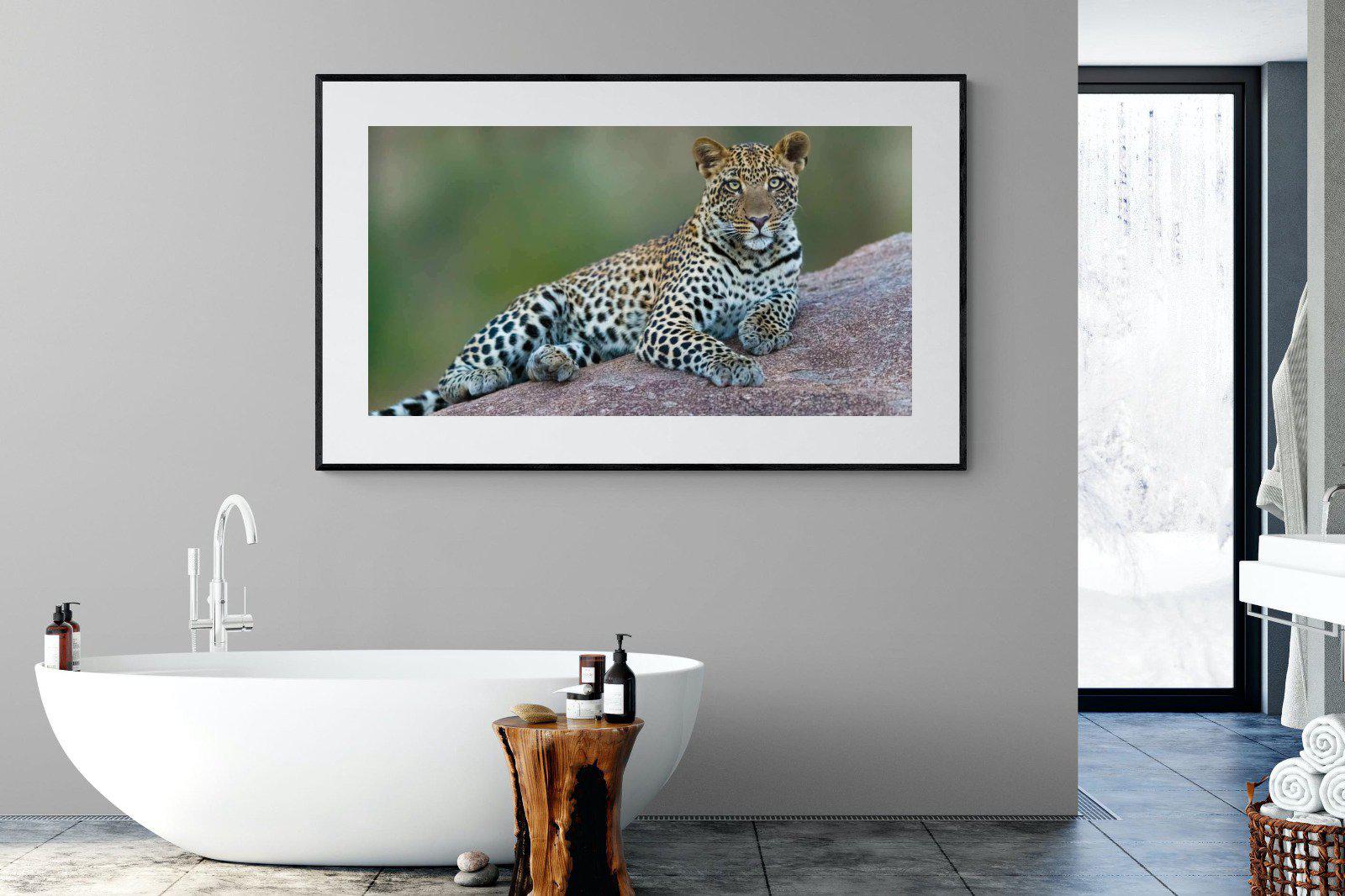 Laying Leopard-Wall_Art-180 x 110cm-Framed Print-Black-Pixalot
