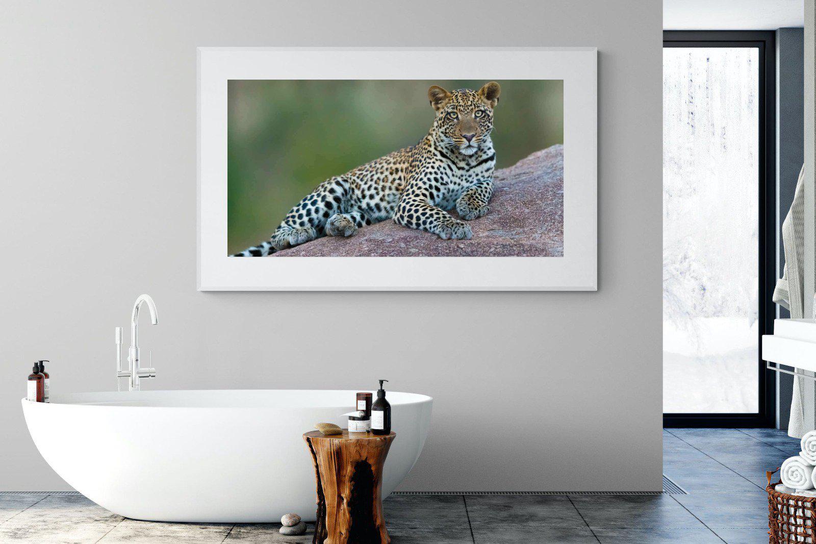 Laying Leopard-Wall_Art-180 x 110cm-Framed Print-White-Pixalot