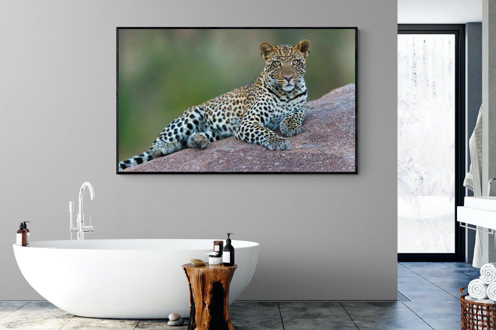 Laying Leopard-Wall_Art-180 x 110cm-Mounted Canvas-Black-Pixalot