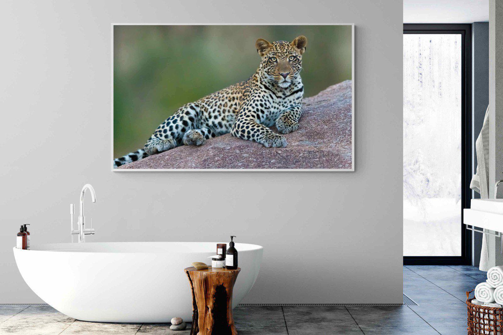 Laying Leopard-Wall_Art-180 x 110cm-Mounted Canvas-White-Pixalot