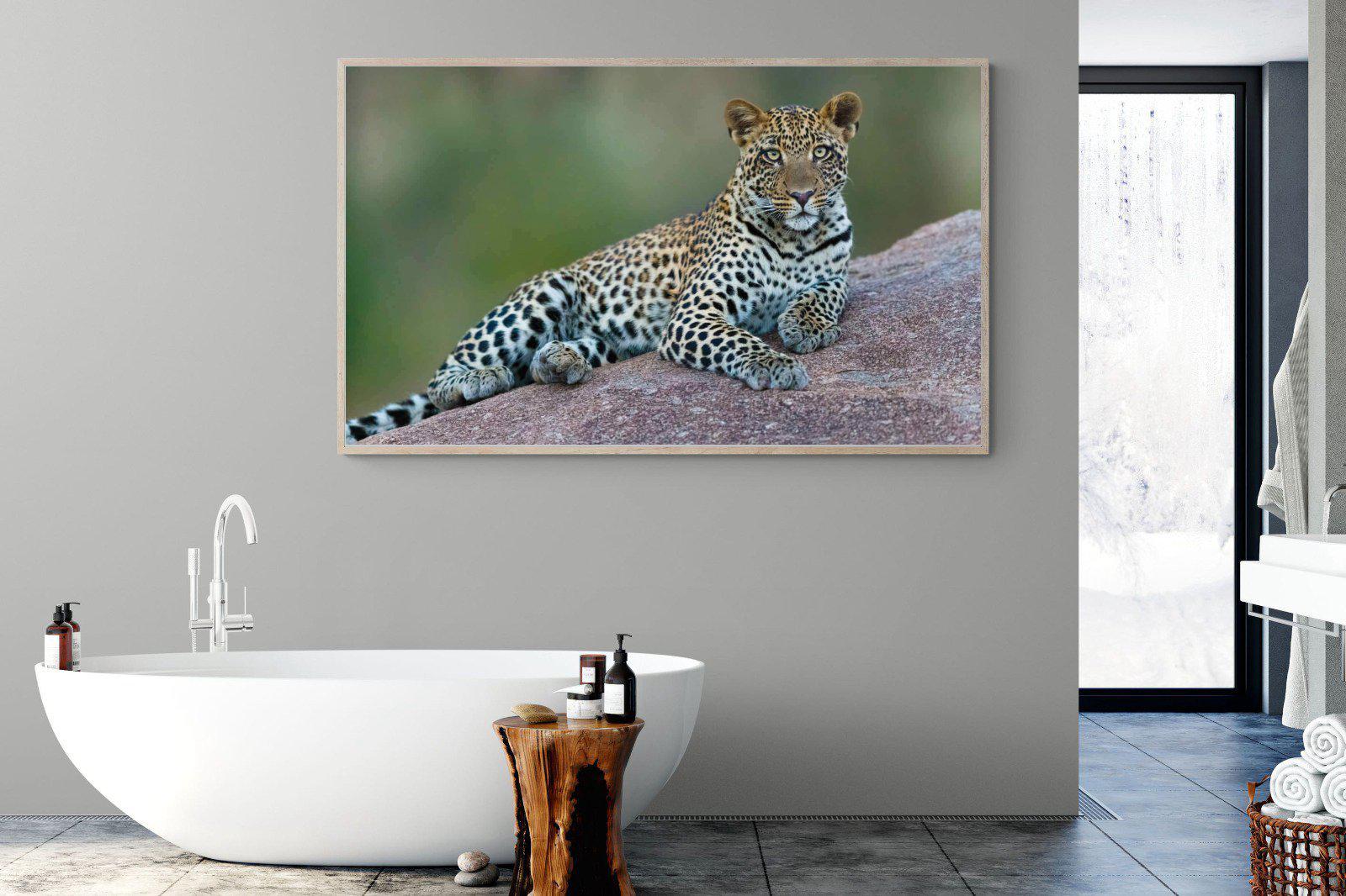 Laying Leopard-Wall_Art-180 x 110cm-Mounted Canvas-Wood-Pixalot