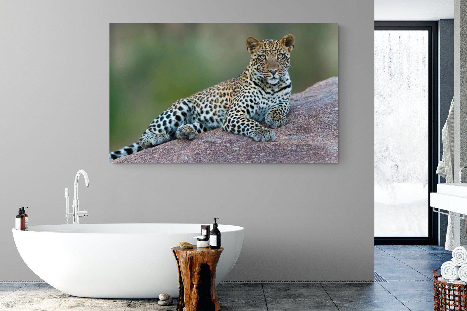 Laying Leopard-Wall_Art-180 x 110cm-Mounted Canvas-No Frame-Pixalot