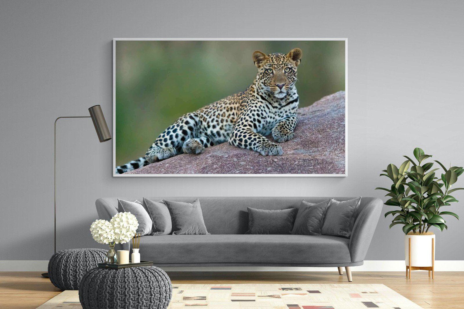 Laying Leopard-Wall_Art-220 x 130cm-Mounted Canvas-White-Pixalot