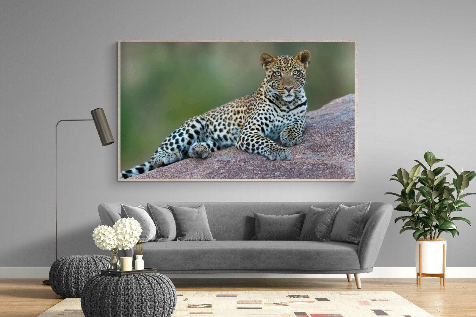 Laying Leopard-Wall_Art-220 x 130cm-Mounted Canvas-Wood-Pixalot