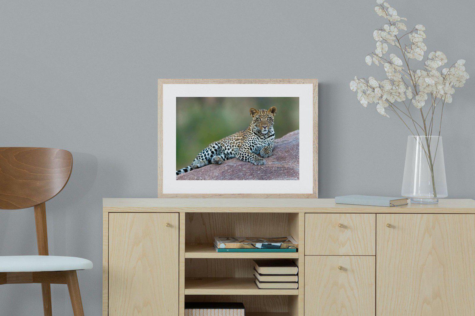 Laying Leopard-Wall_Art-60 x 45cm-Framed Print-Wood-Pixalot