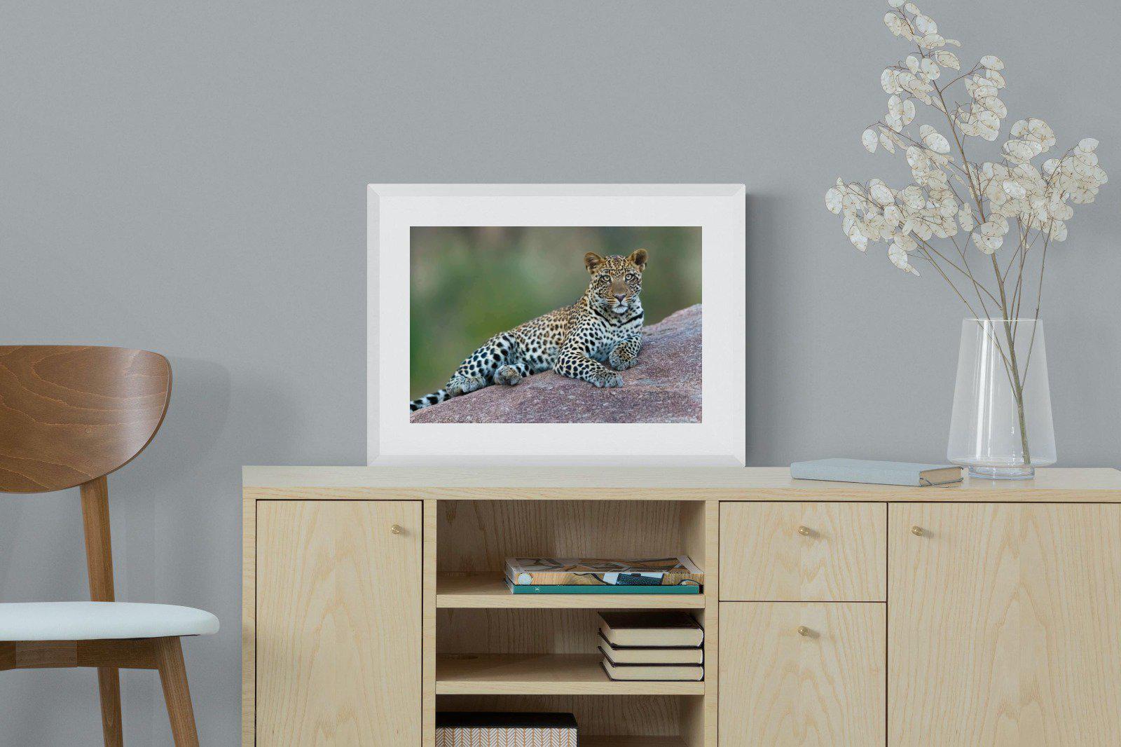 Laying Leopard-Wall_Art-60 x 45cm-Framed Print-White-Pixalot