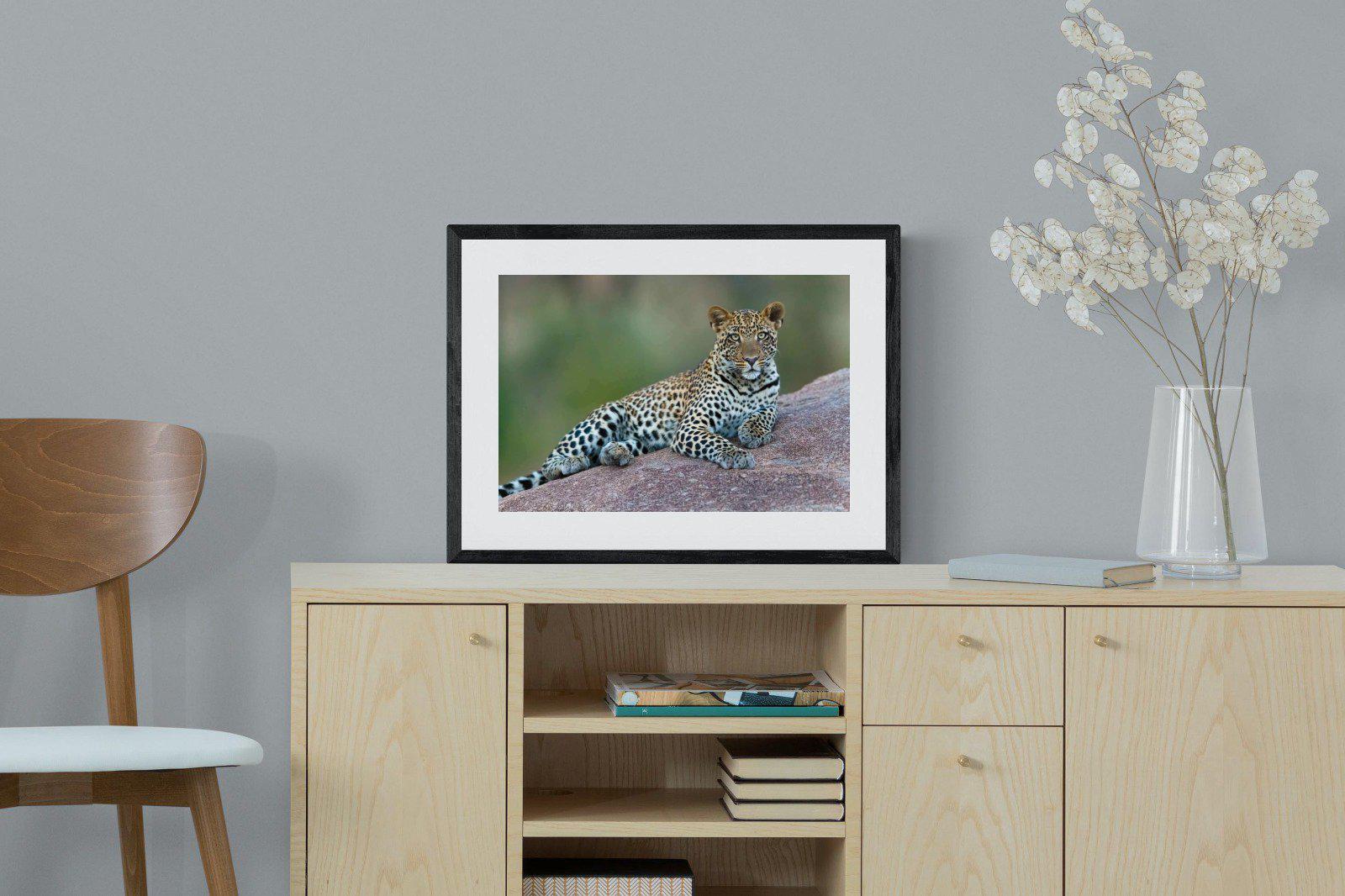 Laying Leopard-Wall_Art-60 x 45cm-Framed Print-Black-Pixalot