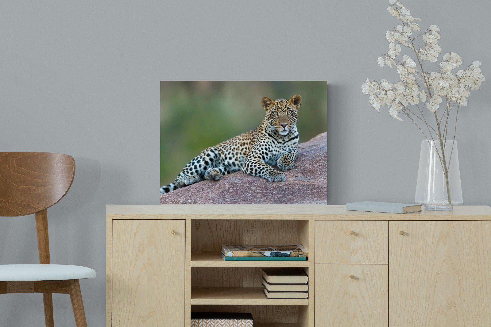 Laying Leopard-Wall_Art-60 x 45cm-Mounted Canvas-No Frame-Pixalot