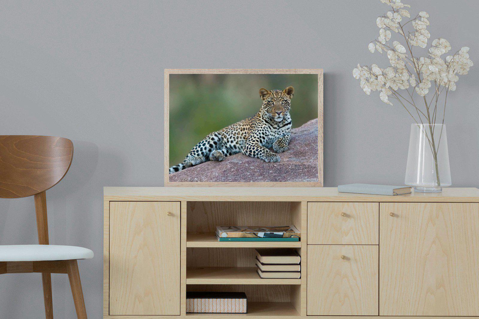Laying Leopard-Wall_Art-60 x 45cm-Mounted Canvas-Wood-Pixalot