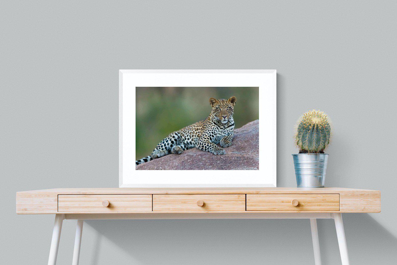 Laying Leopard-Wall_Art-80 x 60cm-Framed Print-White-Pixalot
