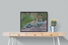 Laying Leopard-Wall_Art-80 x 60cm-Mounted Canvas-Black-Pixalot