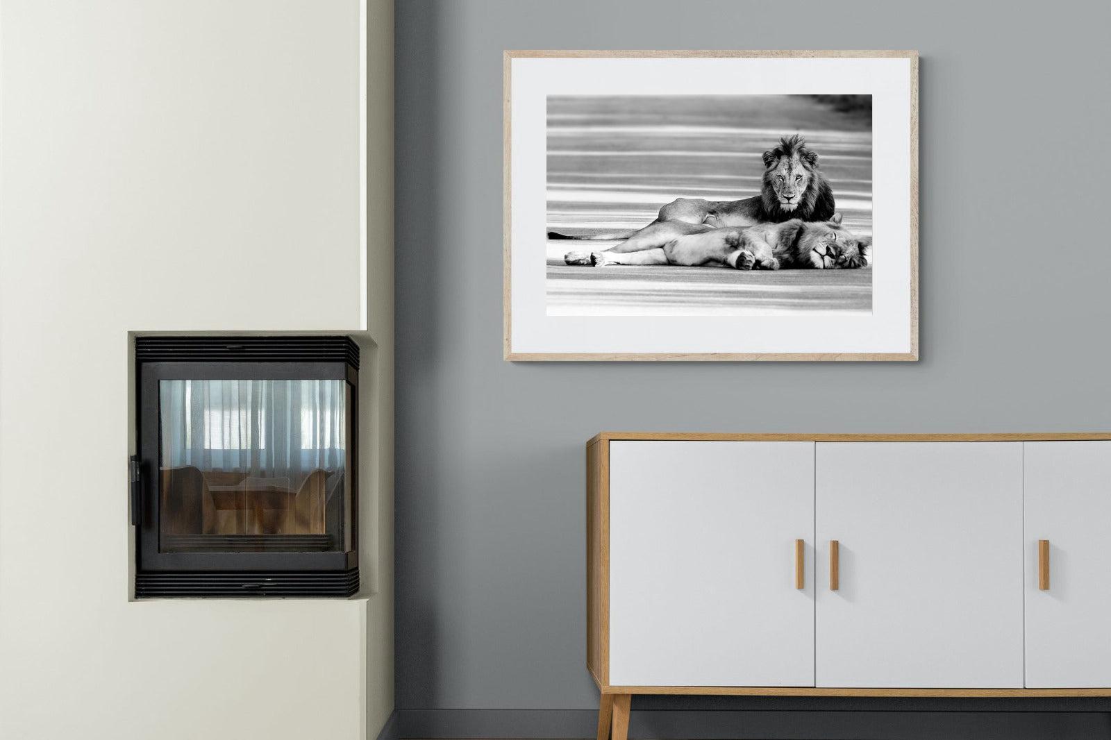 Laying Lion-Wall_Art-100 x 75cm-Framed Print-Wood-Pixalot