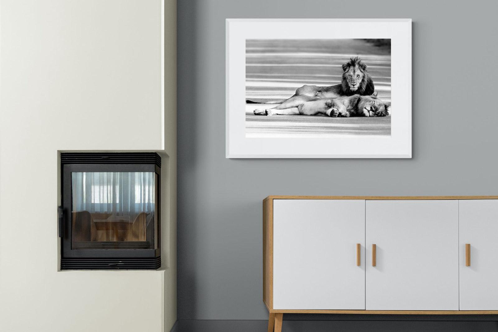 Laying Lion-Wall_Art-100 x 75cm-Framed Print-White-Pixalot