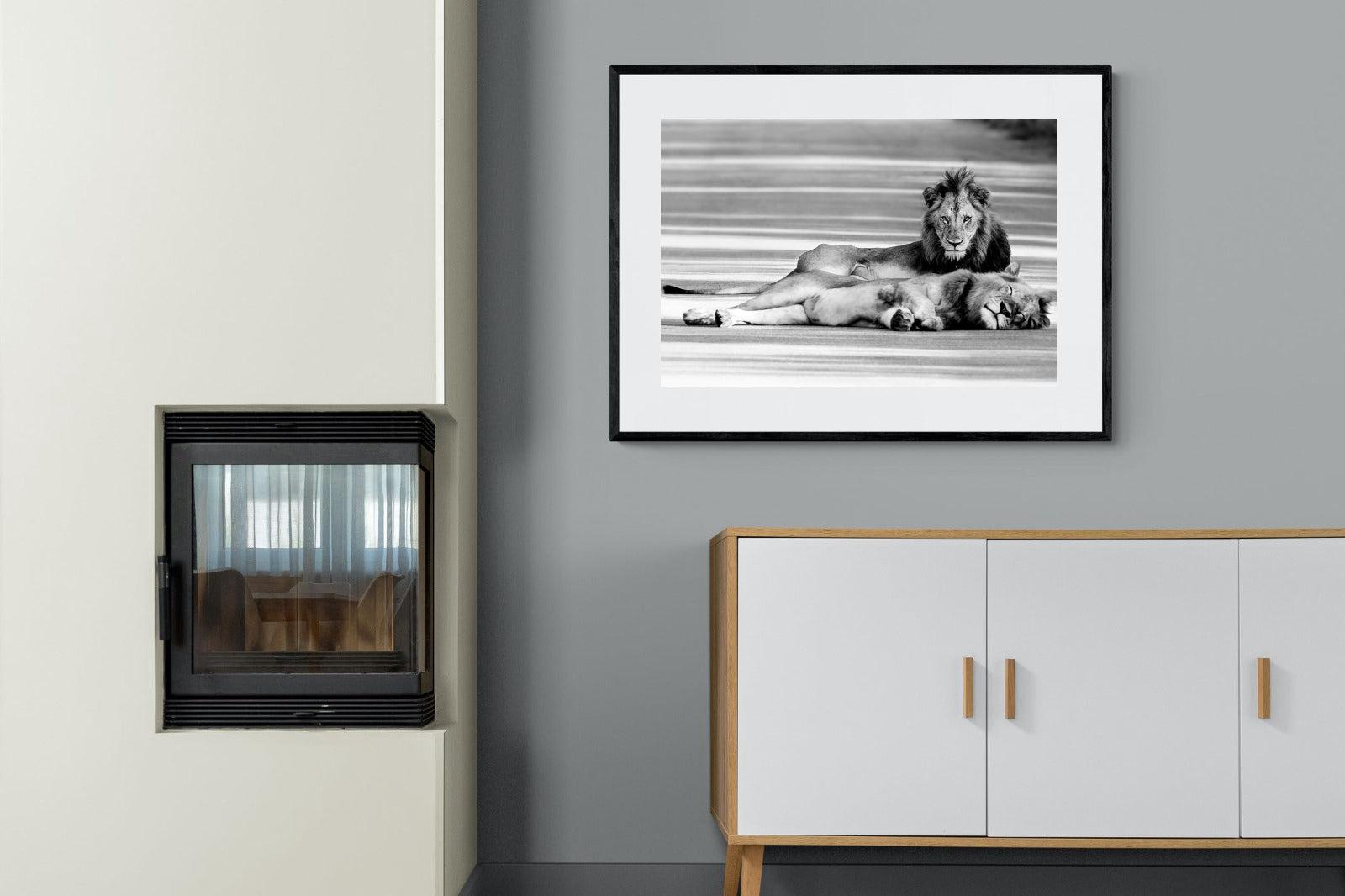 Laying Lion-Wall_Art-100 x 75cm-Framed Print-Black-Pixalot