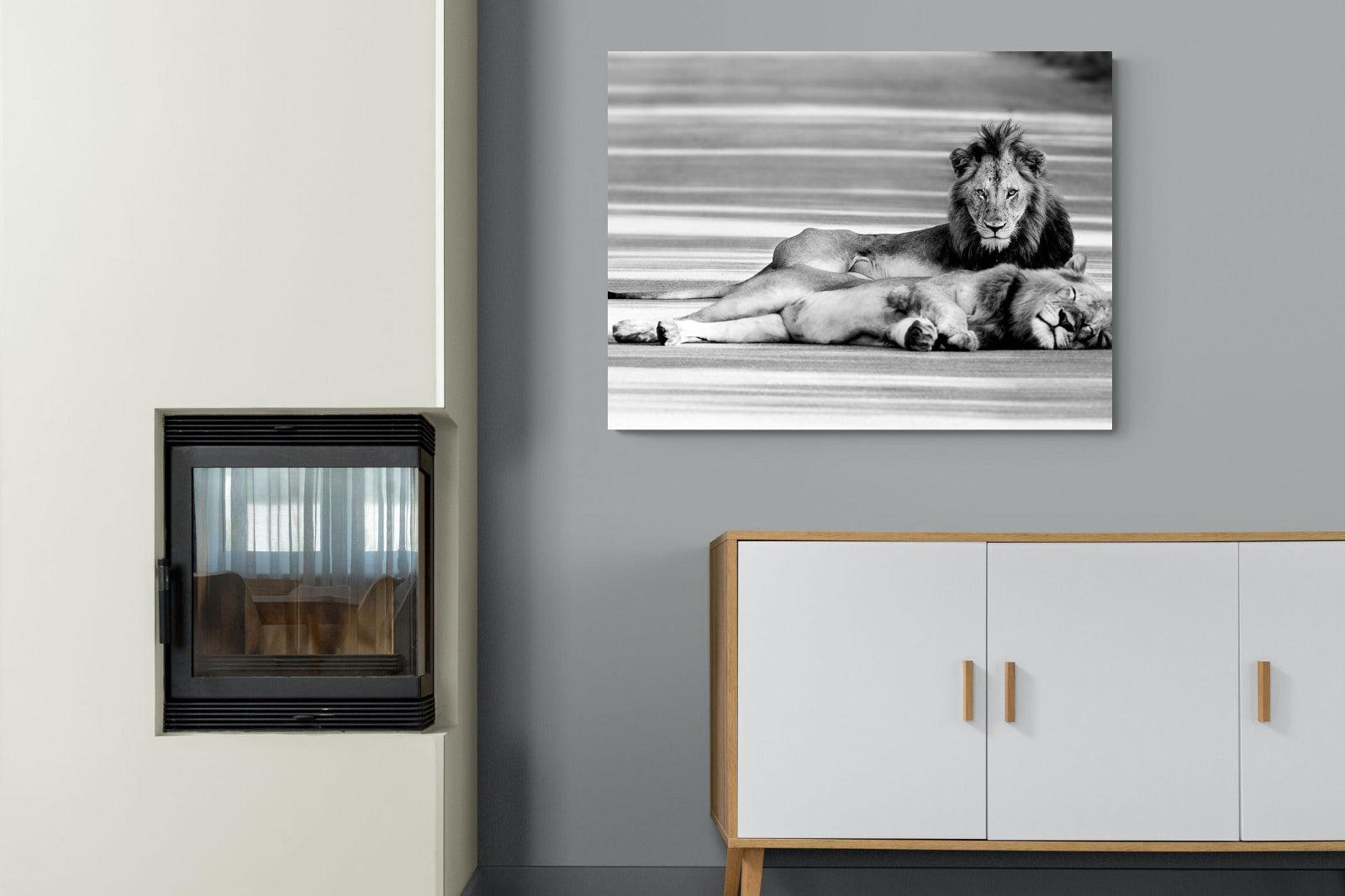 Laying Lion-Wall_Art-100 x 75cm-Mounted Canvas-No Frame-Pixalot