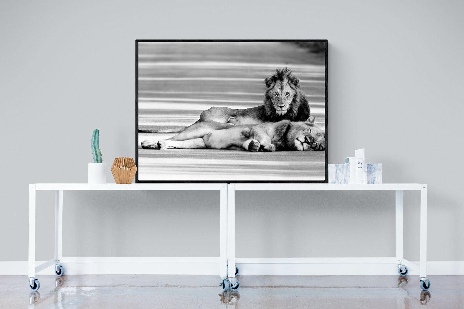 Laying Lion-Wall_Art-120 x 90cm-Mounted Canvas-Black-Pixalot