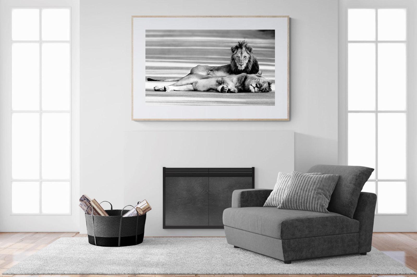 Laying Lion-Wall_Art-150 x 100cm-Framed Print-Wood-Pixalot