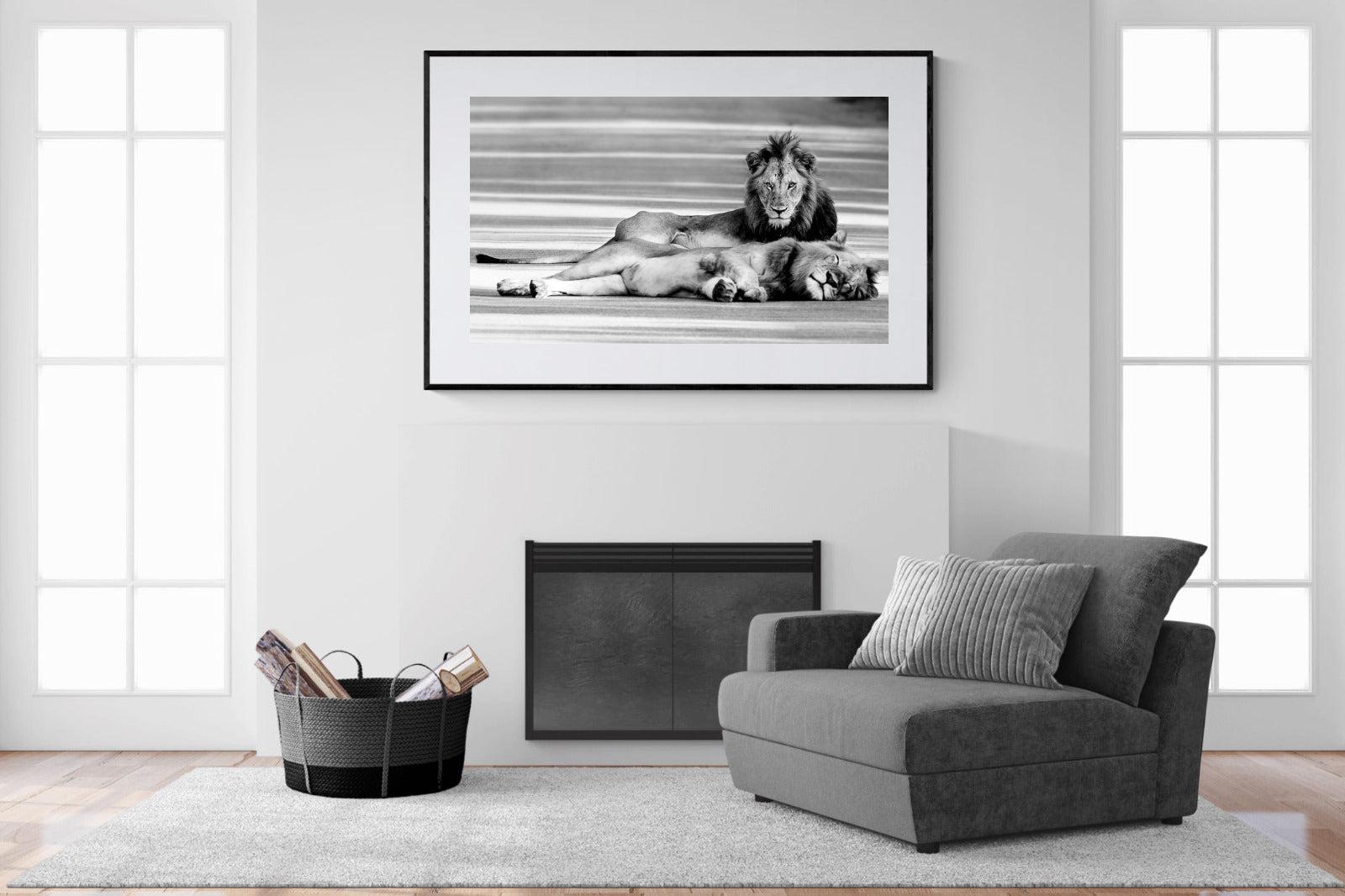Laying Lion-Wall_Art-150 x 100cm-Framed Print-Black-Pixalot