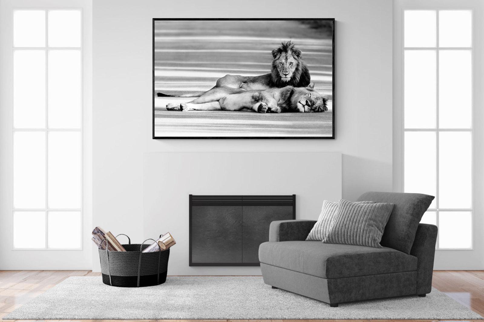 Laying Lion-Wall_Art-150 x 100cm-Mounted Canvas-Black-Pixalot