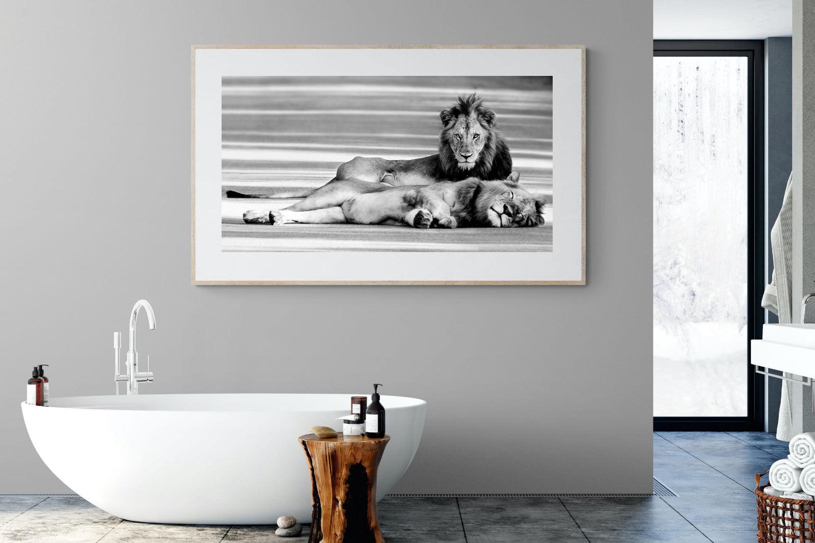 Laying Lion-Wall_Art-180 x 110cm-Framed Print-Wood-Pixalot