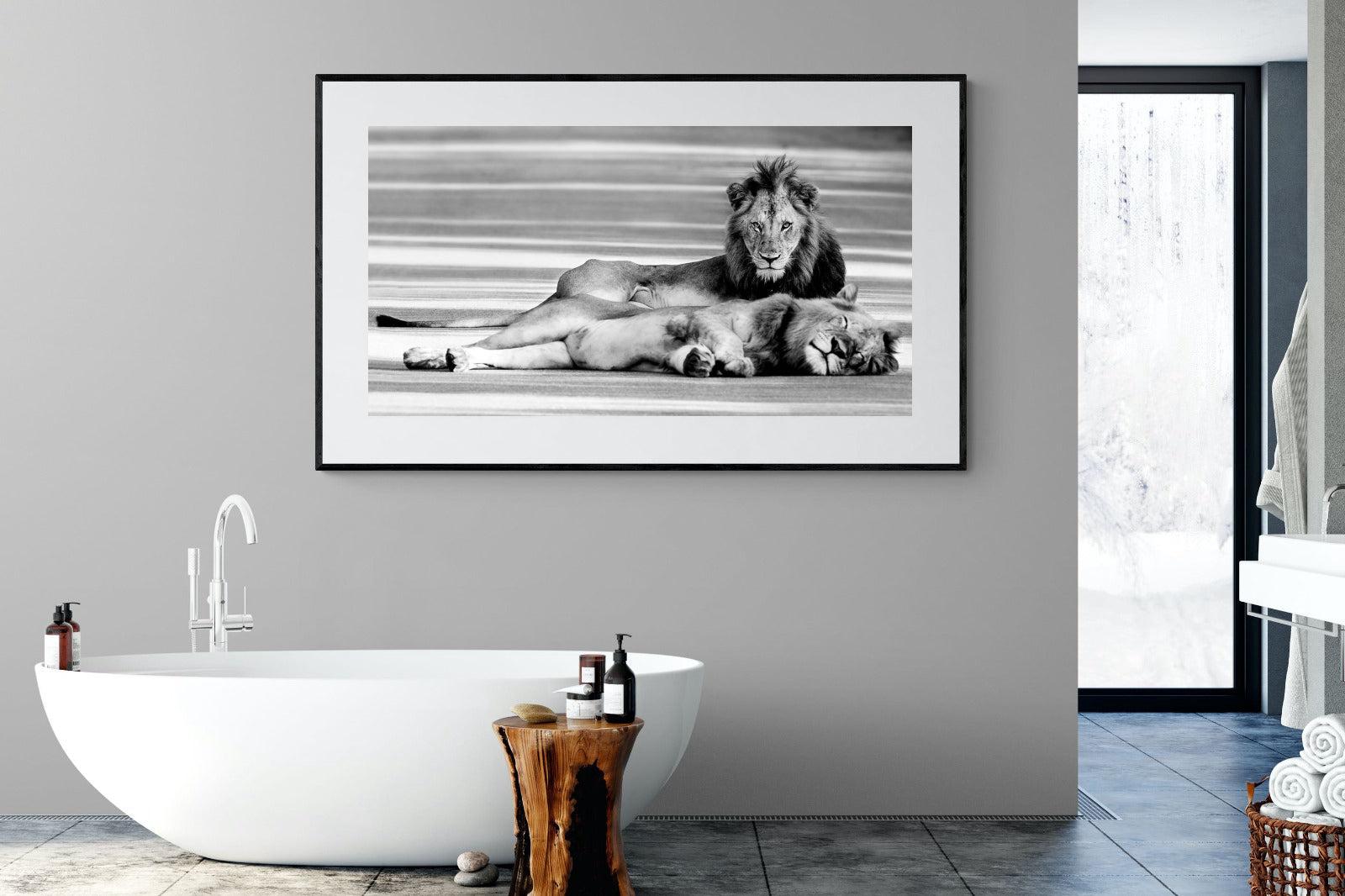 Laying Lion-Wall_Art-180 x 110cm-Framed Print-Black-Pixalot