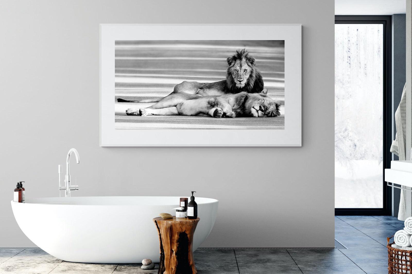 Laying Lion-Wall_Art-180 x 110cm-Framed Print-White-Pixalot