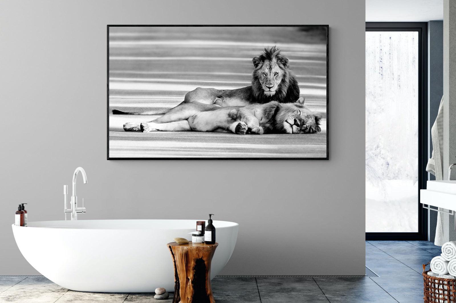 Laying Lion-Wall_Art-180 x 110cm-Mounted Canvas-Black-Pixalot