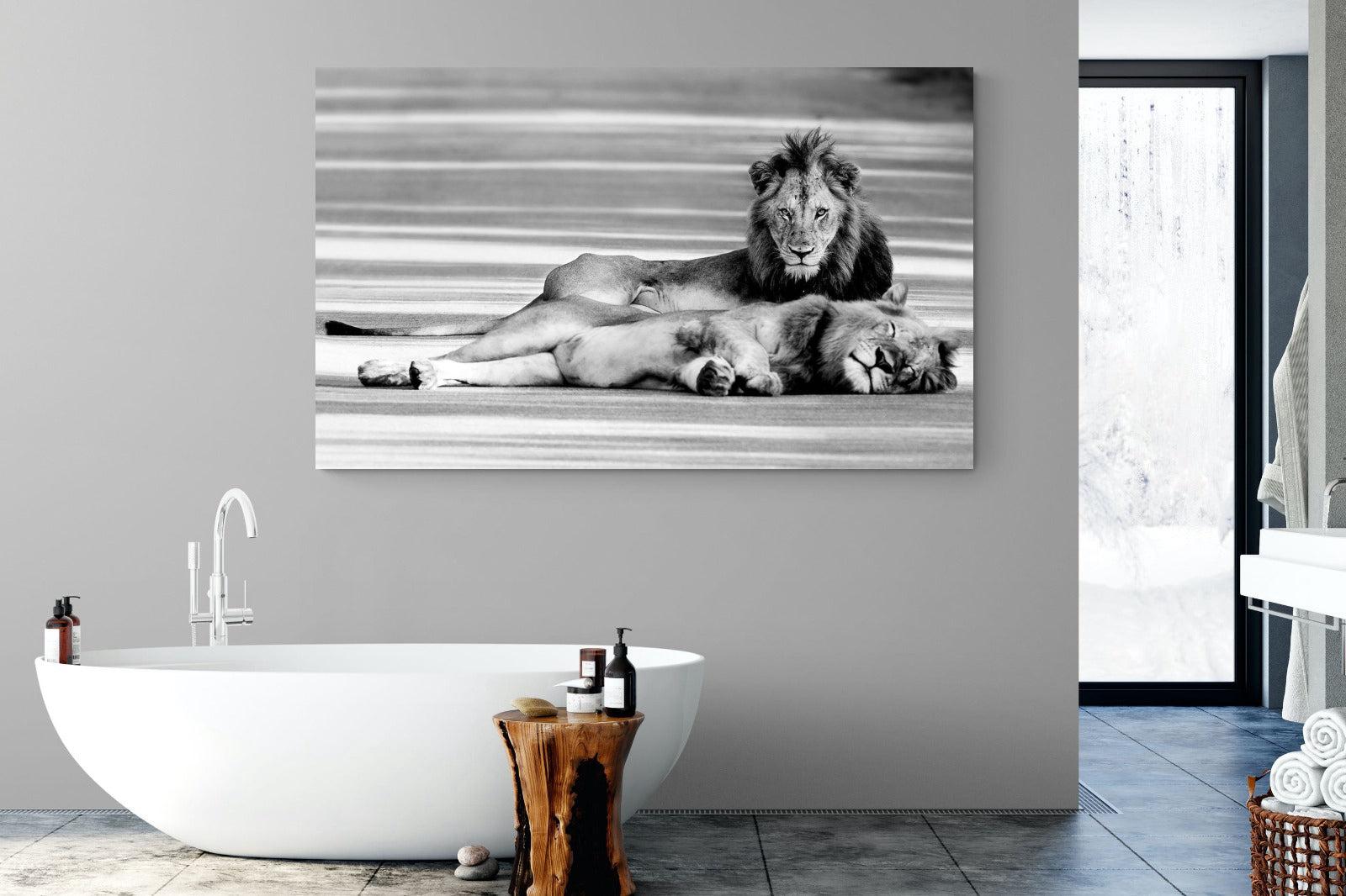 Laying Lion-Wall_Art-180 x 110cm-Mounted Canvas-No Frame-Pixalot