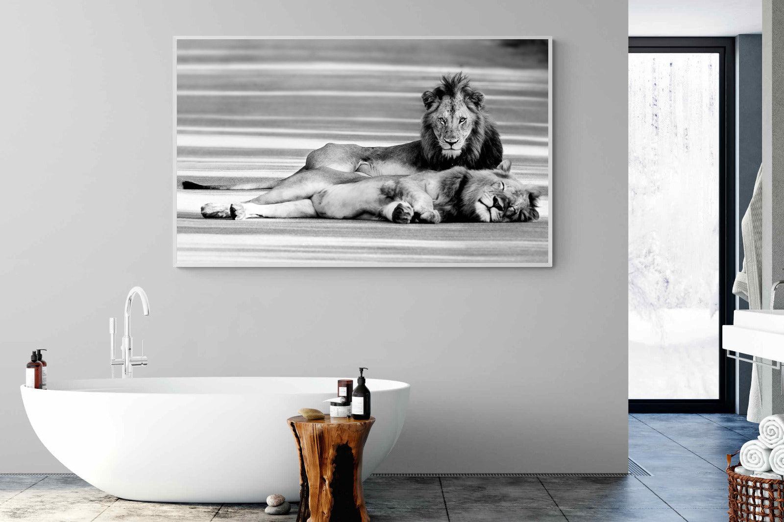 Laying Lion-Wall_Art-180 x 110cm-Mounted Canvas-White-Pixalot