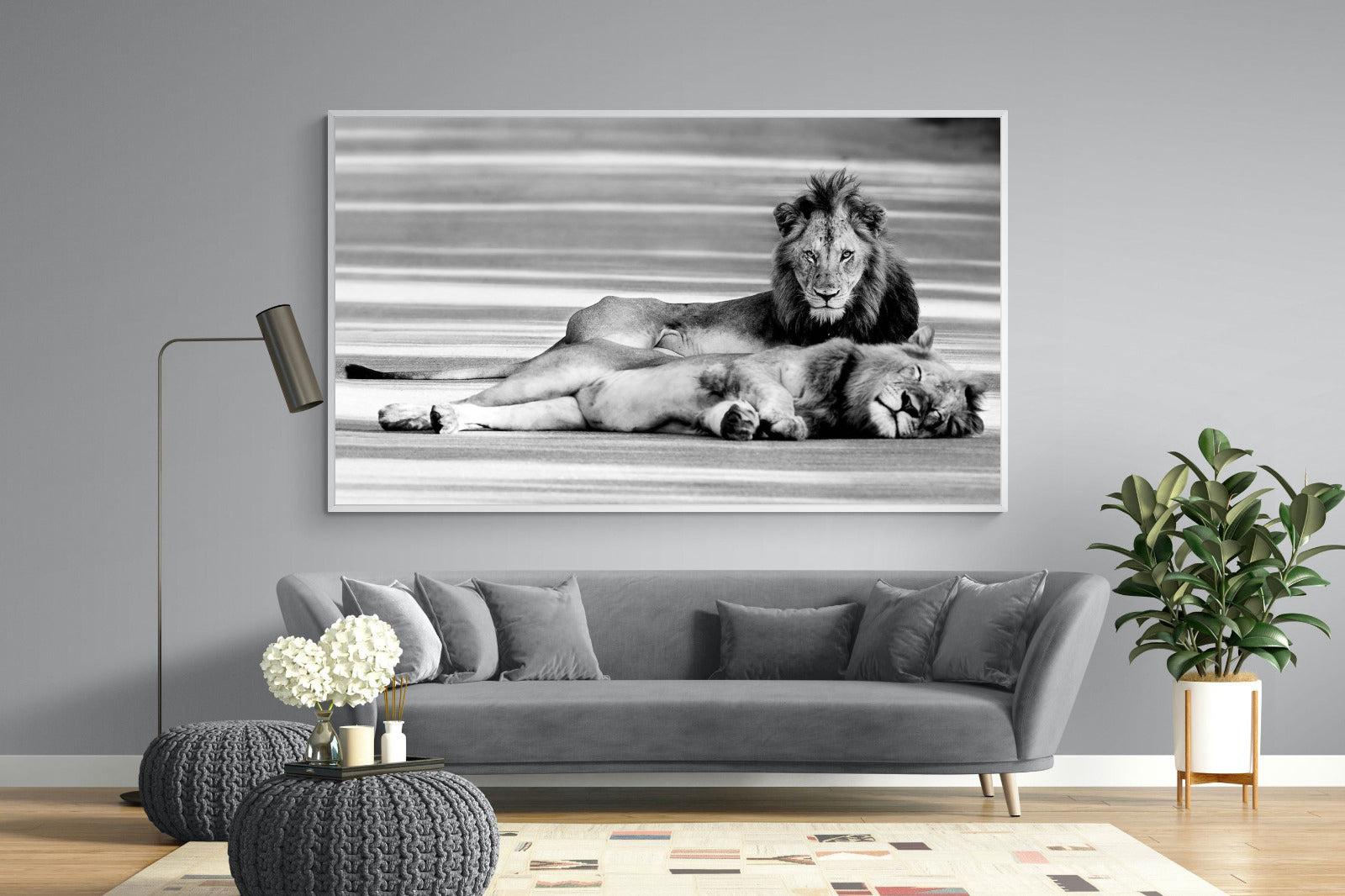 Laying Lion-Wall_Art-220 x 130cm-Mounted Canvas-White-Pixalot