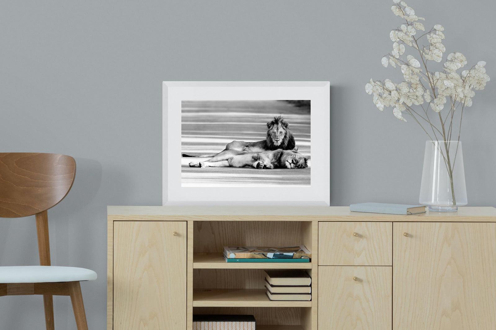 Laying Lion-Wall_Art-60 x 45cm-Framed Print-White-Pixalot