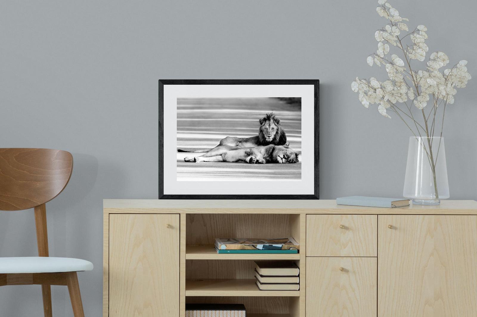 Laying Lion-Wall_Art-60 x 45cm-Framed Print-Black-Pixalot