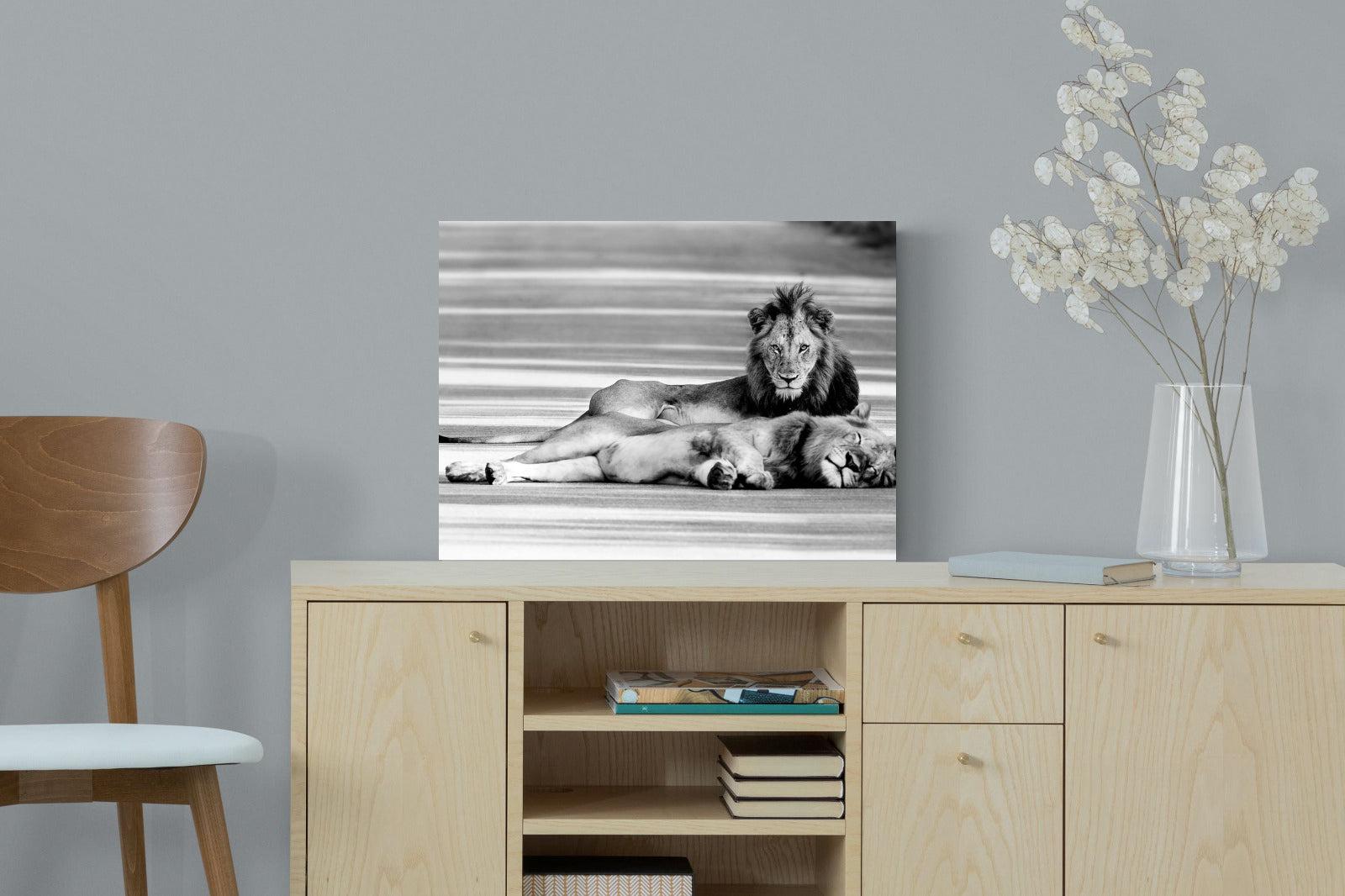 Laying Lion-Wall_Art-60 x 45cm-Mounted Canvas-No Frame-Pixalot